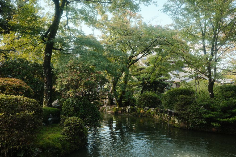 池のある日本庭園
