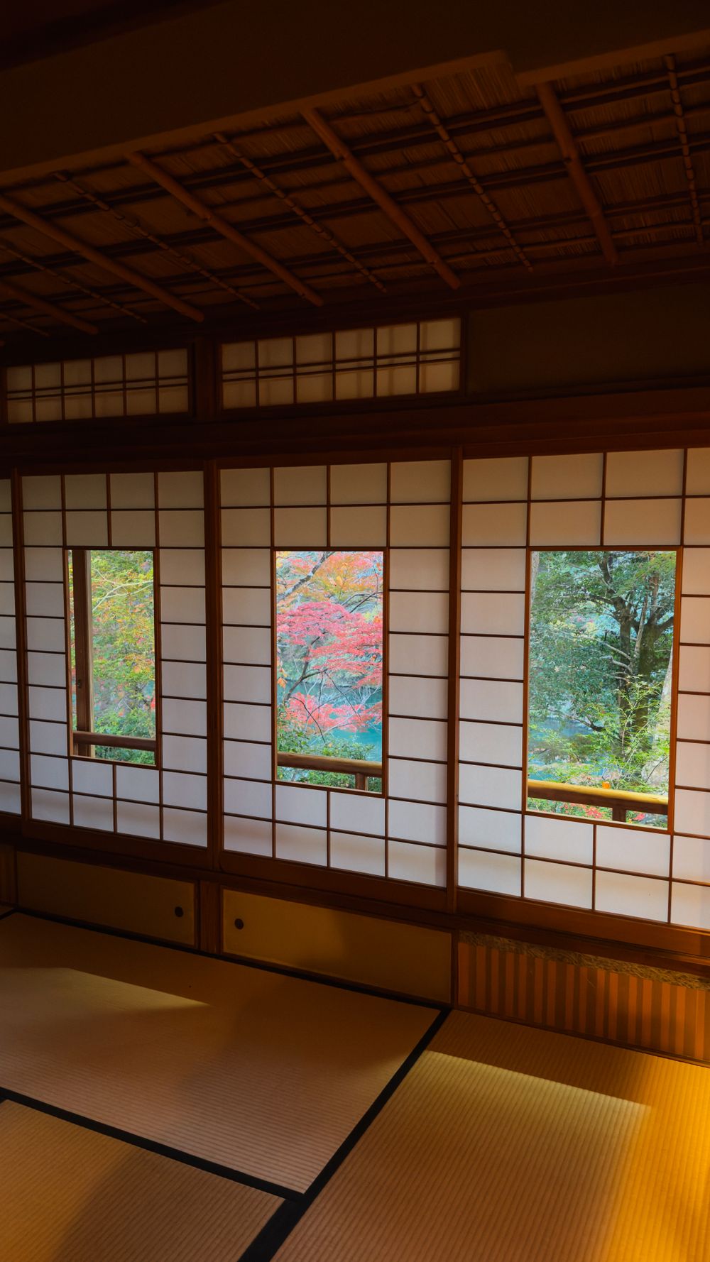 紅葉を望む障子窓の特別室